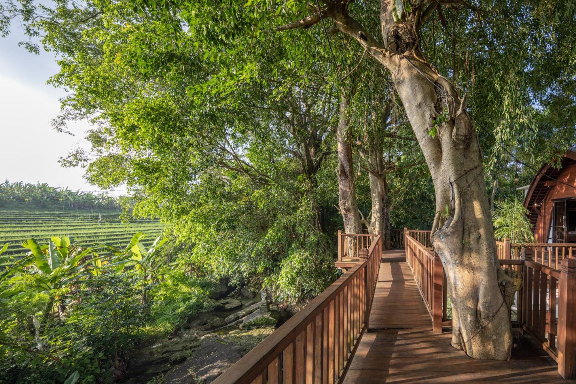 Paripadi Private Villa And Sanctuary Canggu Kültér fotó